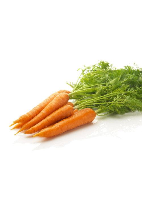 Zanahoria Kilo